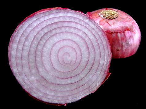 Red Onion Free Photo Download | FreeImages