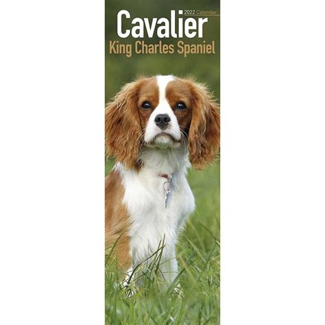 Cavalier King Charles Spaniel Slim Calendar 2022 - 220774