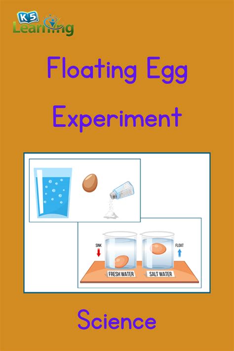 Floating Egg Science Experiment | K5 Learning