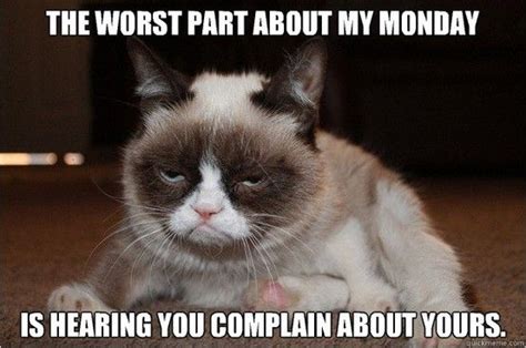 Grumpy Cat, monday quotes, monday humor, monday morning ...For more ...