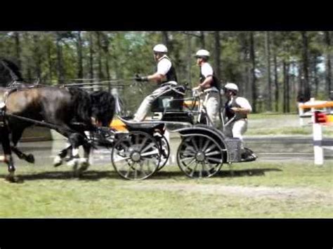 four in hand horse driving competition - YouTube