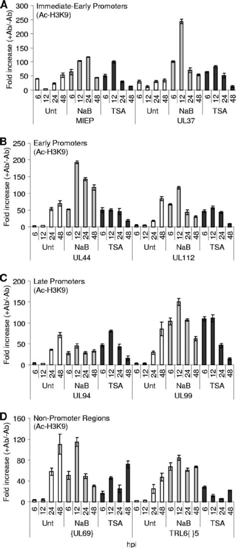 The acetylation of histone H3 in viral chromatin increases when cells ...