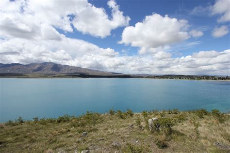 Searching for Tao, 7573 Kilometres from Home :: Image Gallery /Lake Tekapo