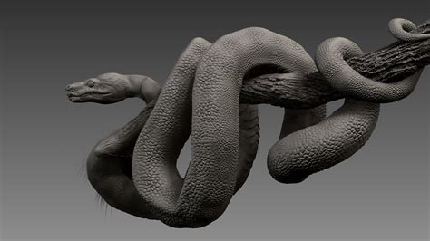 Anakonda Snake High Poly 3D model | CGTrader