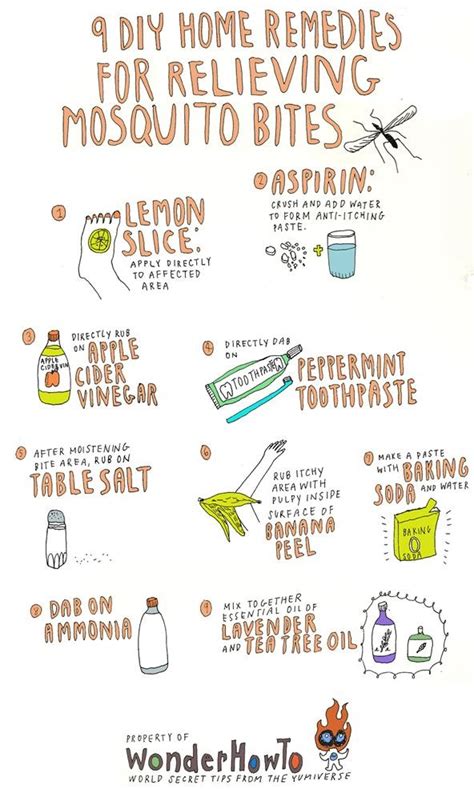 9 DIY Home Remedies for Relieving Itchy Mosquito Bites « The Secret Yumiverse