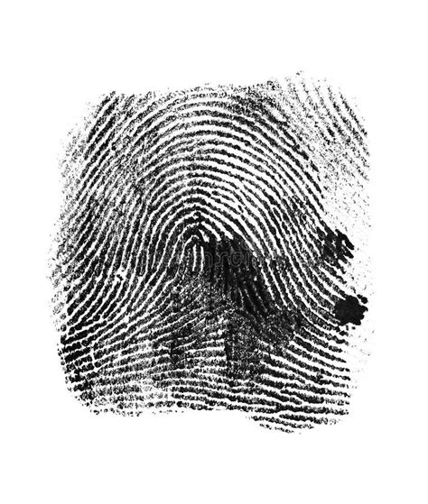 Black Fingerprint Pattern Isolated on White Background Stock Photo - Image of fingerprints ...