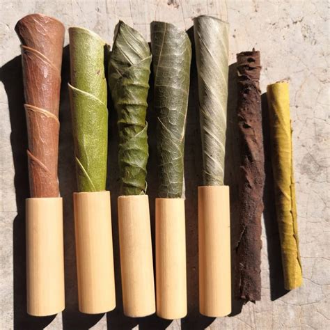 Best Blunt Wraps: {Top 5 Picks} - Premium Organic Wraps