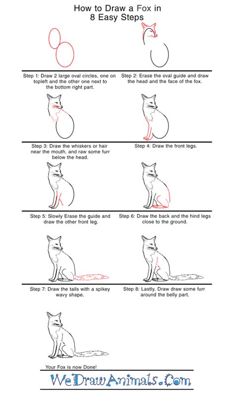 How To Draw A Realistic Fox