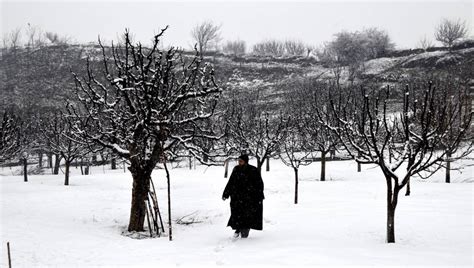 Kashmir continues to freeze under heavy snowfall - Asian News from UK