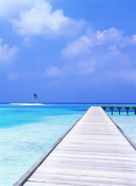 Beach, Dslr background images, Live wallpapers