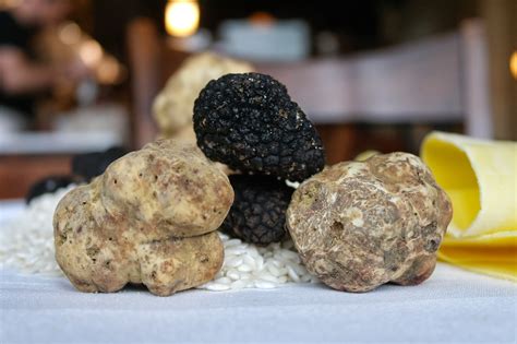 Fresh Talk: The Return of Alba White Truffles