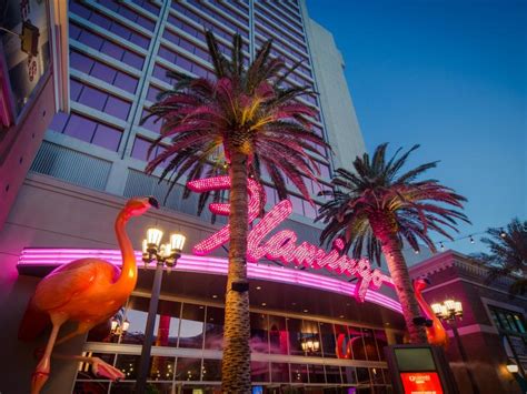 Flamingo Las Vegas | Las Vegas, NV 89109