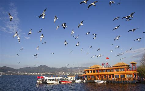 Kunming Dianchi Lake, Kunming Lake, Kunming Attractions