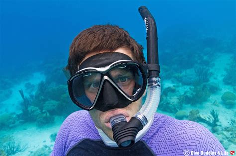 A Beginner's How-To Snorkeling Guide | Dive Buddies 4 Life