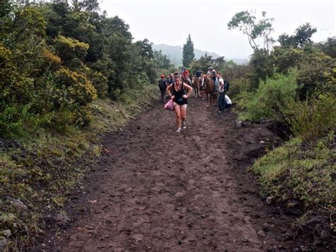 Pacaya Volcano Hike - Antigua Tours by Elizabeth Bell