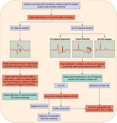 Pathophysiology Of Acute Coronary Syndrome