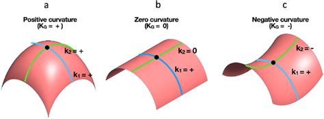 Illustration of different Gaussian curvatures, showing a) Positive... | Download Scientific Diagram