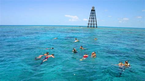 Afternoon Snorkeling in Key West | Fury Reef and Ritas Trip