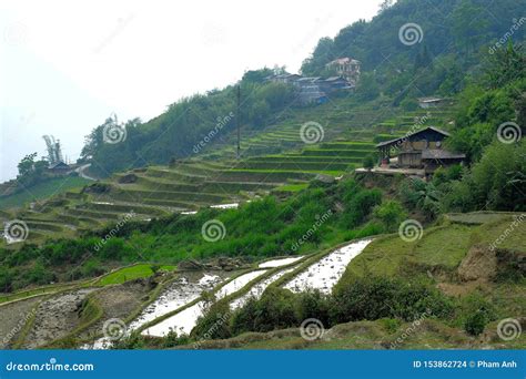 Travel in Asia, Sapa, Lao Cai, Vietnam Stock Photo - Image of plant ...