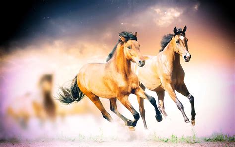 Horses Wild Animals - Free photo on Pixabay