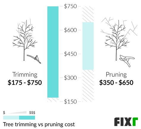 2022 Tree Trimming Cost | Average Price for Tree Trimming