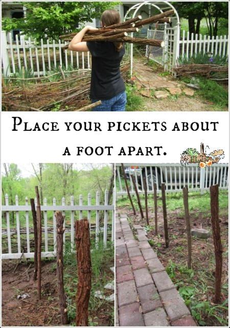 DIY Wattle: Cheap Garden Fence • Homestead Lady