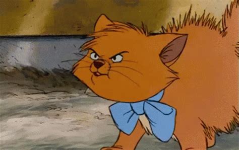 Angry Cat GIF - Angry Cat Toulouse - Ανακαλύψτε και κοινοποιήστε GIF