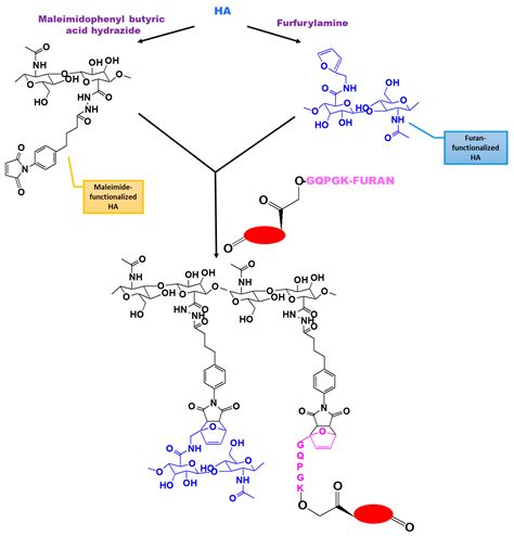 Biomedicines | Free Full-Text | Dexamethasone Conjugates: Synthetic ...