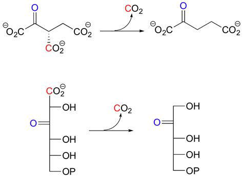 13.5: Carboxylation and decarboxylation reactions - Chemistry LibreTexts