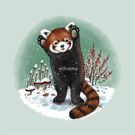 "Red Panda playing in snow" by ednama | Redbubble