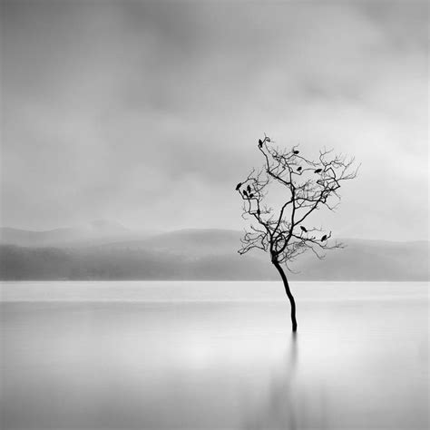 Winter Birds - Limited Edition of 20 Photography by George Digalakis ...