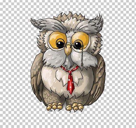 A Wise Old Owl Bird Drawing PNG - animals, balloon cartoon, barn owl ...