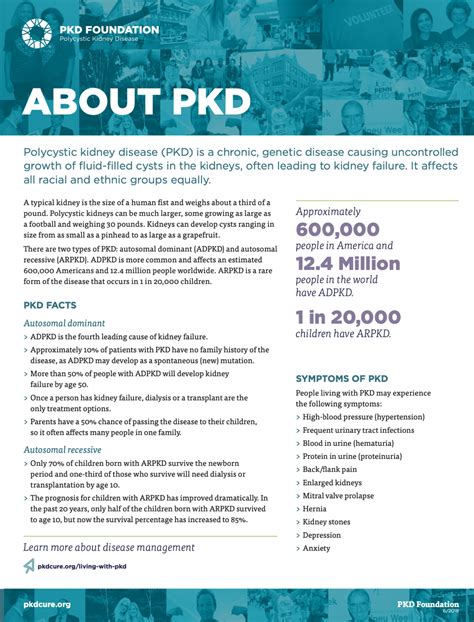 About PKD / About PKD Foundation - PKD Resources