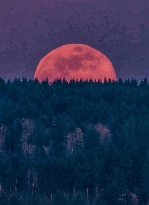 Red moon, landscape, magician, moon, red, HD phone wallpaper | Peakpx