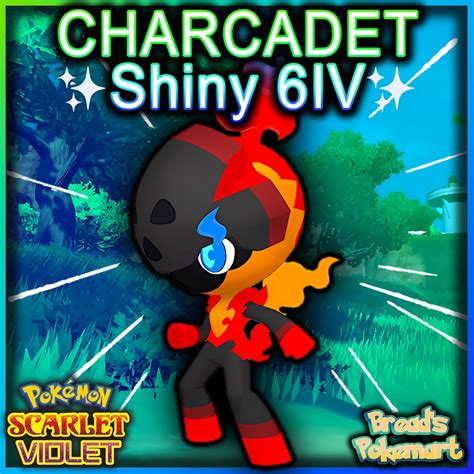 CHARCADET Shiny 6IV / Pokemon Scarlet and Violet / Lv1 Ready - Etsy