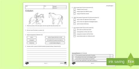 Evolution Homework Worksheet / Worksheet (teacher made)