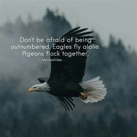 Don't be afraid of being outnumbered. Eagles fly alone. Pigeons flock ...