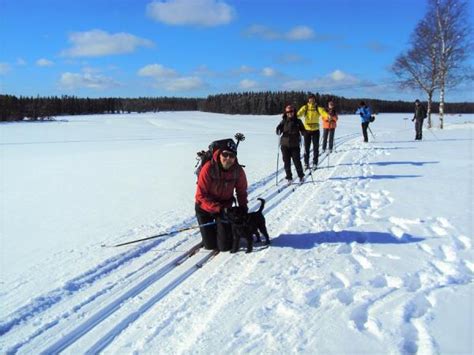 Cross-country skiing vacation in Finland | Responsible Travel