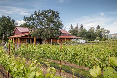 Vintages and vines: The 10 best wineries in Hood River Oregon