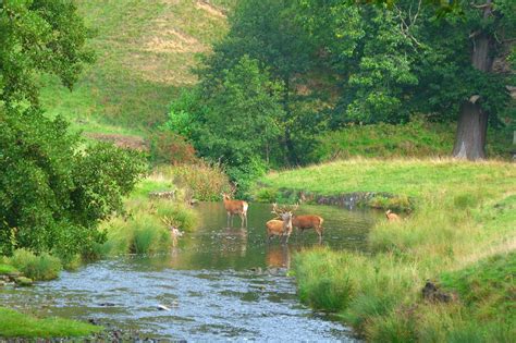 100+ Free Yorkshire Dales & Yorkshire Images - Pixabay