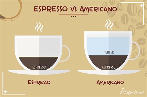 Espresso vs Americano: What's the Difference? - Coffee Affection