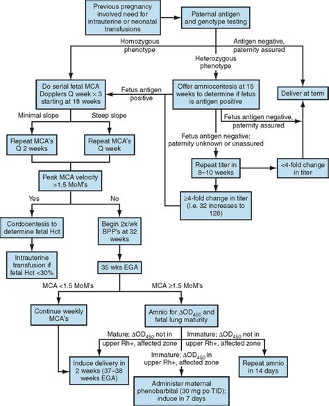 ULTRASOUND EVALUATION OF HYDROPS FETALIS | Radiology Key