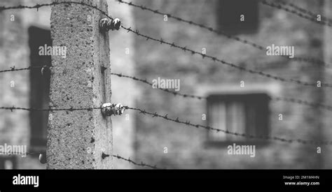 Auschwitz Concentration Camp Stock Photo - Alamy