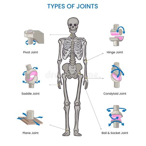 Gliding Joint Examples