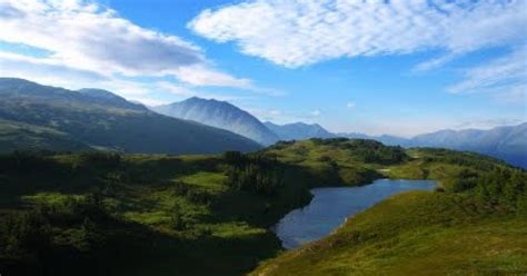 Primrose Trail | ALASKA.ORG