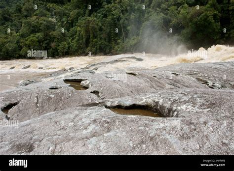 Forest, Water, Serra do Mar State park, Núcleo Santa Virgínia, São Paulo, Brazil Stock Photo - Alamy