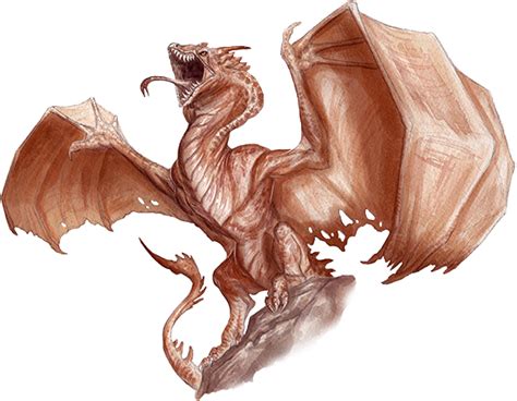 Wyvern | Forgotten Realms Wiki | FANDOM powered by Wikia