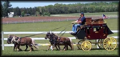 These 8 Miniature Horse Carts Are Totally Adorable! Big Horses, Pretty ...