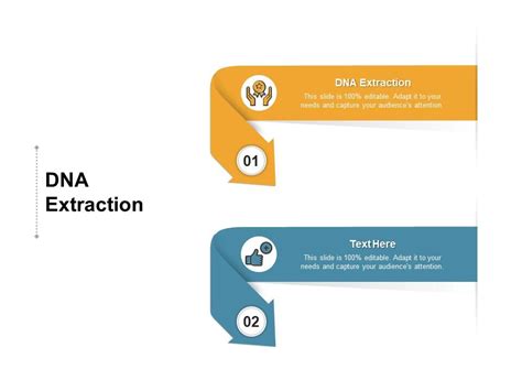 DNA Extraction Ppt Powerpoint Presentation Styles Cpb | Presentation ...