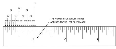 How To Read A Ruler The Cornucopia Learning Network, 45% OFF